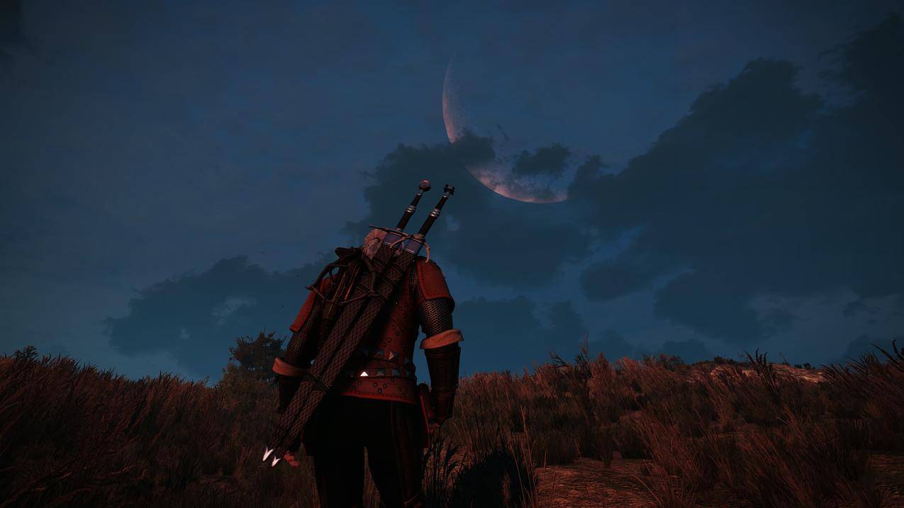GeraltofRivia,女巫3：WildHunt,RPG,TheWitcher