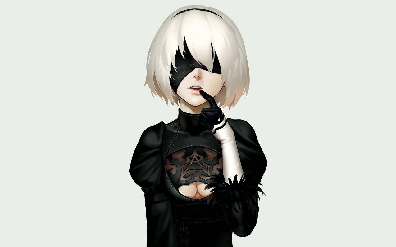 whitehair,自动机,自动机的手套,尼尔,尼尔