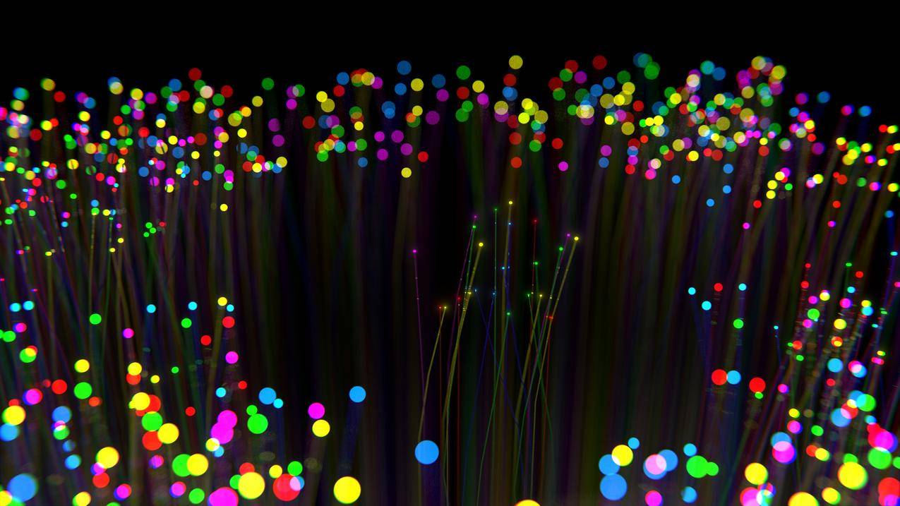 Opticfiber,彩色,宏