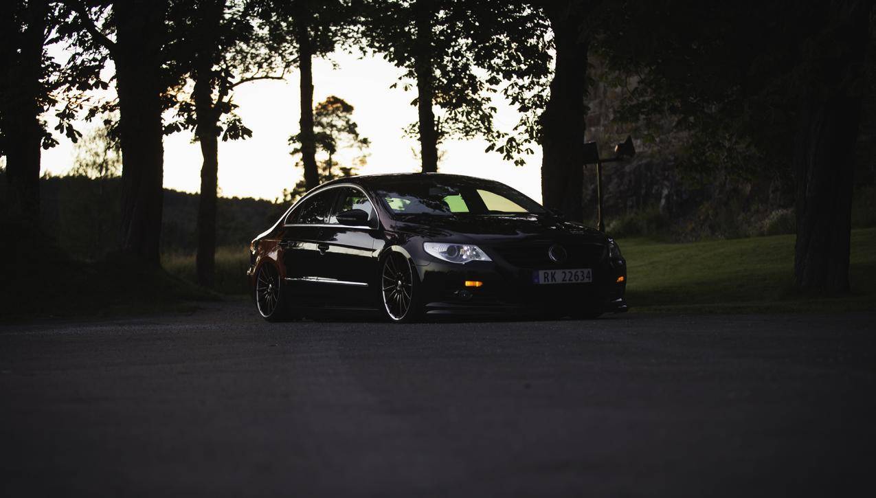 大众,沃尔斯瓦根帕萨特,降低,立场,Germancars
