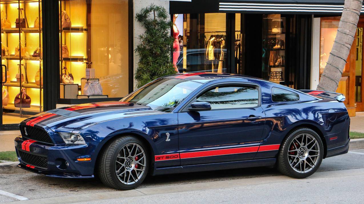 跑车,麝香,FordMustang,FordMustangShelby,福尔德谢尔盖特500,GT500