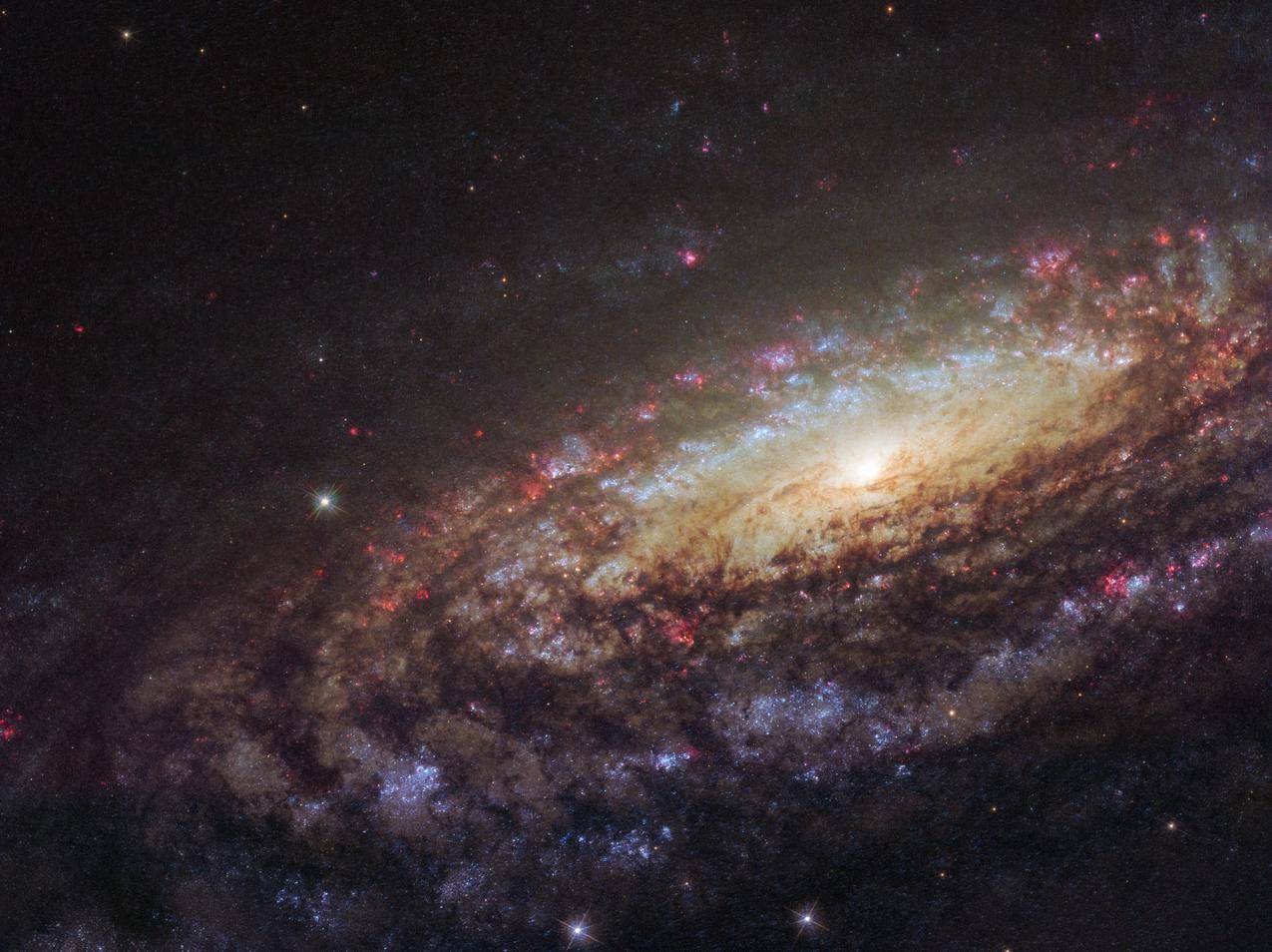 Twinswithdifferences,NGC7331,空间,星系,恒星,NASA