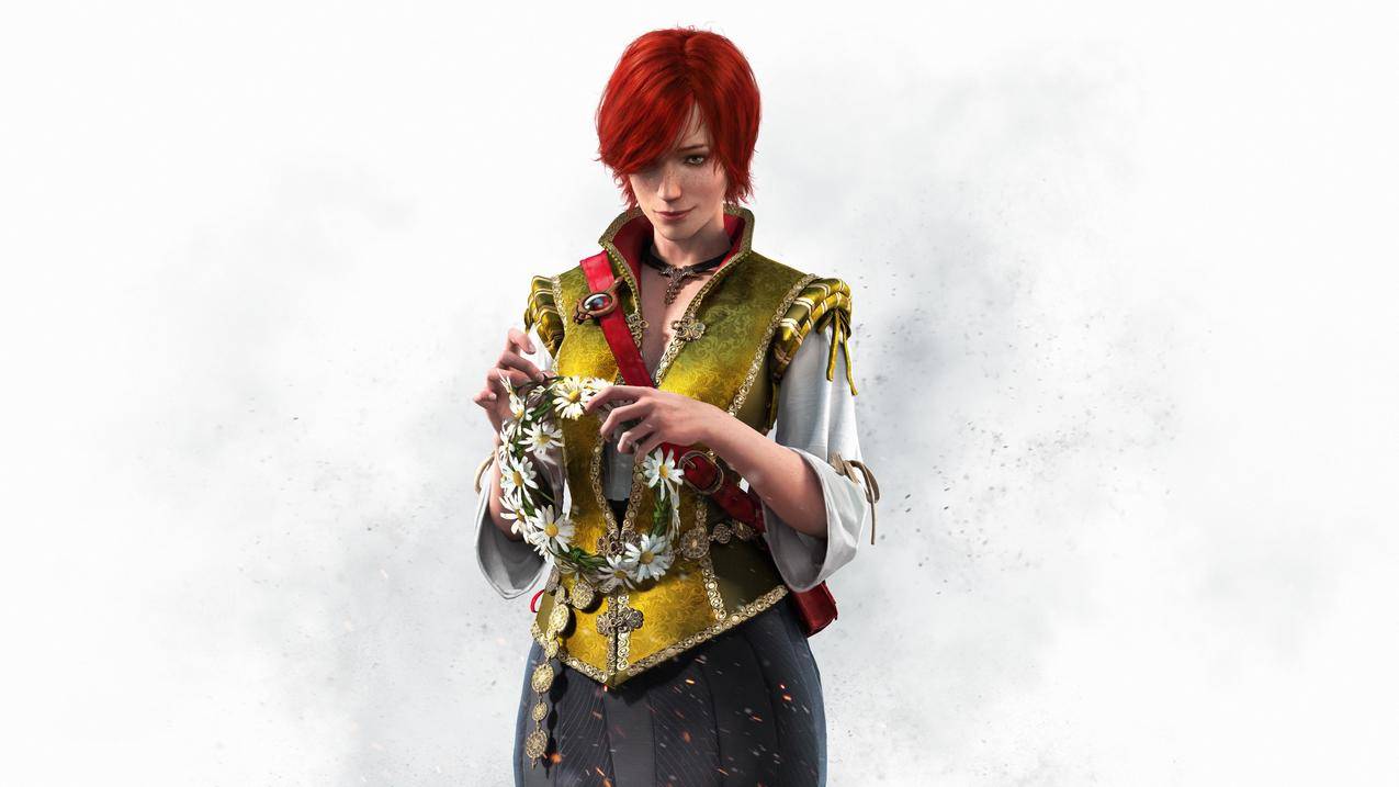 艺术作品,视频游戏,女巫3,WildHunt,巫婆,Shani