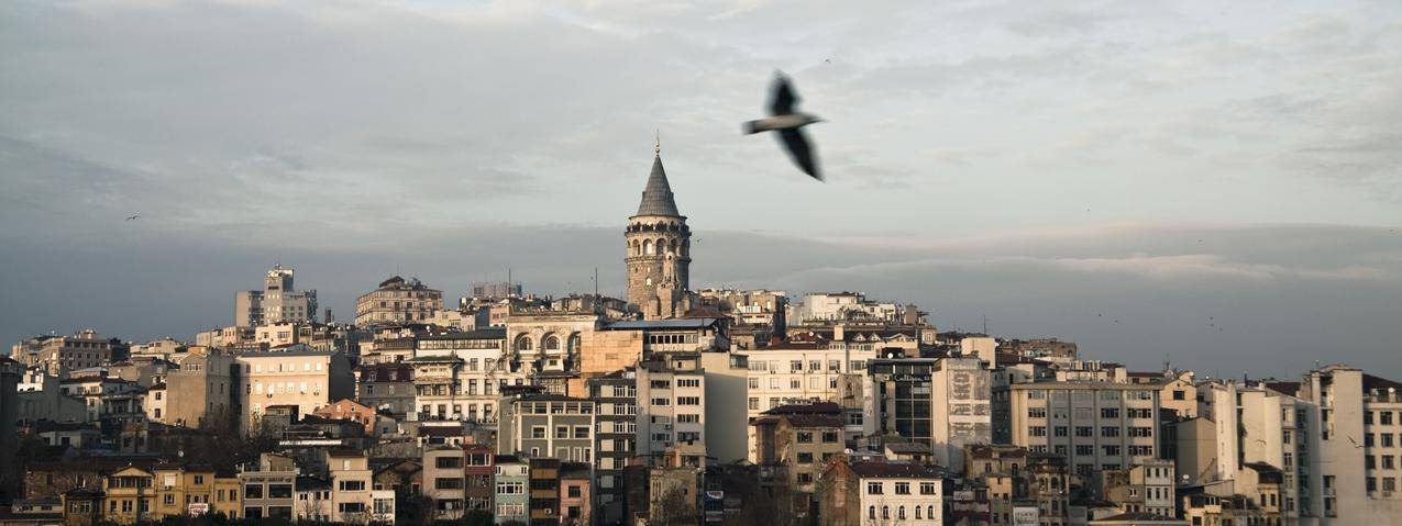 伊斯坦布尔,加拉塔,城市景观,土耳其