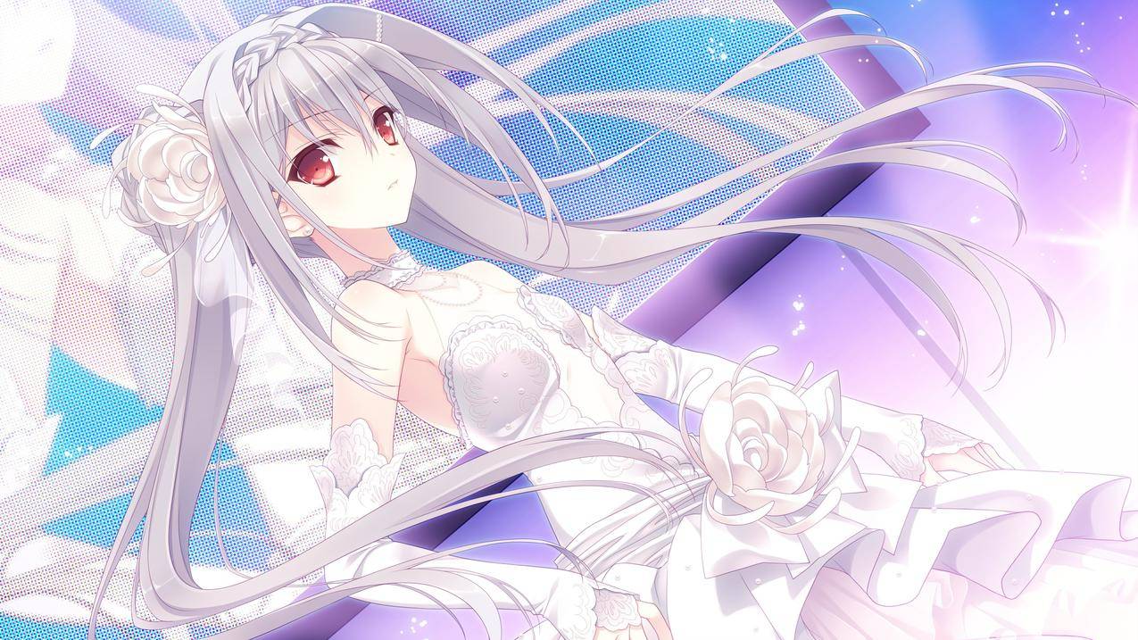 动画,动画,TsukiniYorisouOtomenoSahou