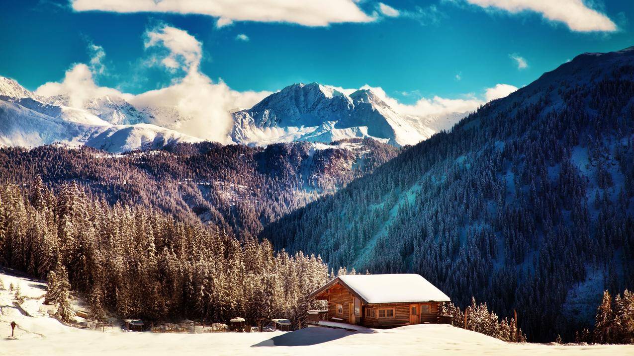 雪景