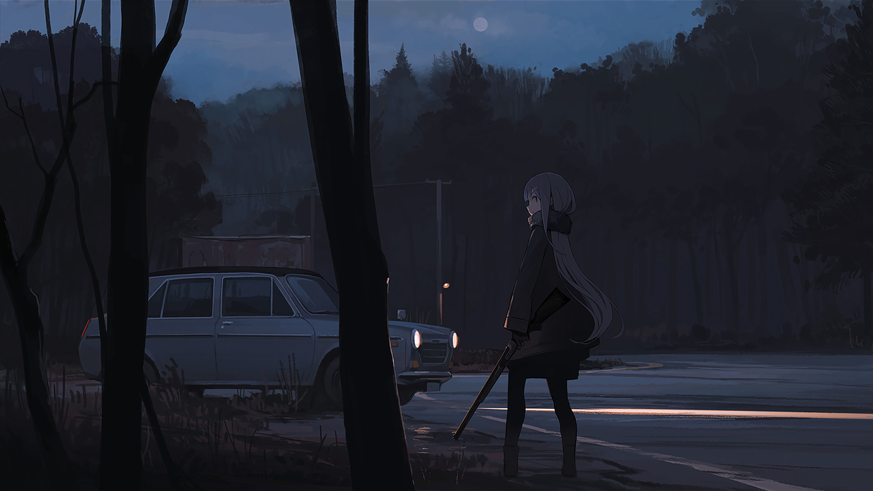 长毛,whiteskin,动漫,animegirls,darkbackground,晚上,森林,车,路边,道路,武器