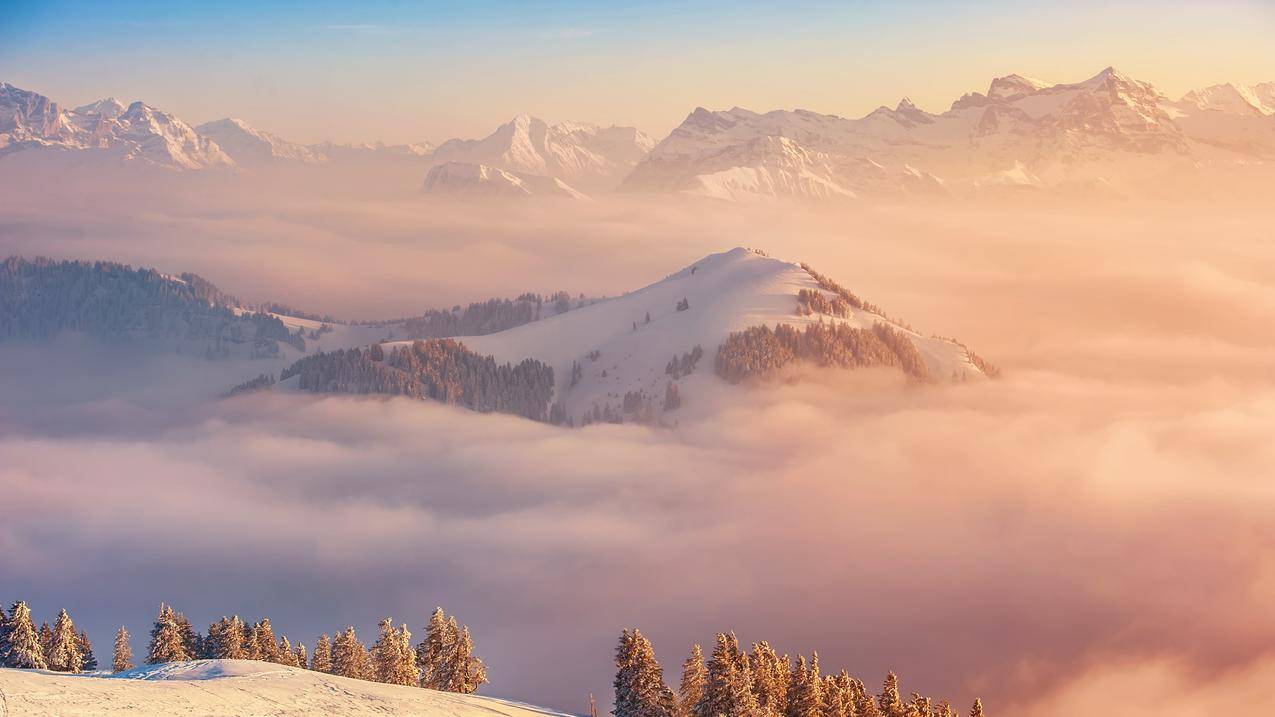自然,景观,雪,山,森林