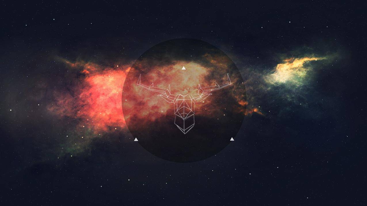 空间,线框,鹿,极简主义