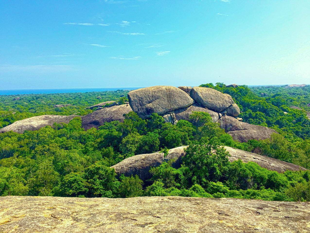 SriLanka,自然,岩石,树木,摄影,森林