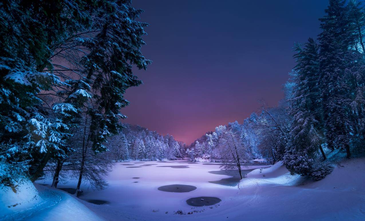 雪,风景,森林,湖泊,夜晚,冬天,小径