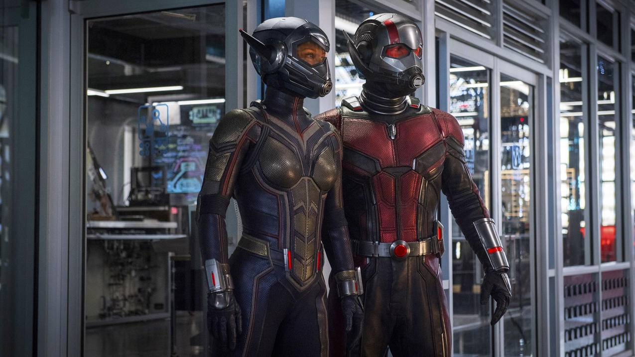 PaulRudd,Evgelielely,MaviCiMeCalm宇宙,MavicMICIC,Ant,Man,WASP,Ant,ManandtheWasp