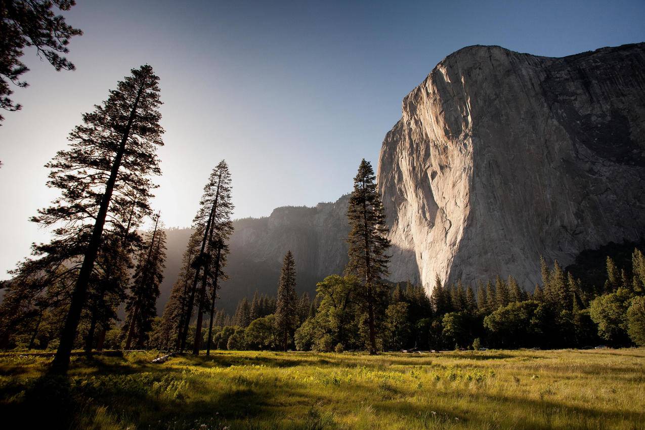 山脉风景森林自然树木草地晴空yosemitenationalparkelcapitan