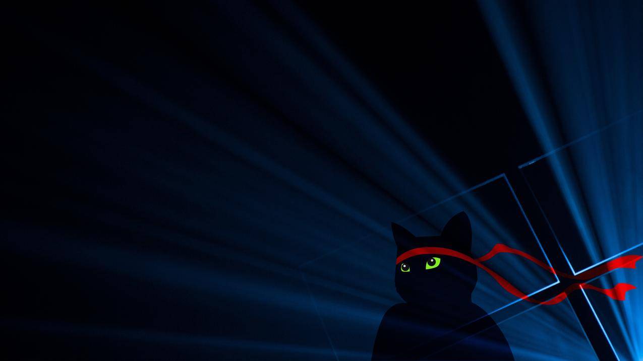 windows10,windows10anniversary,ninjacat