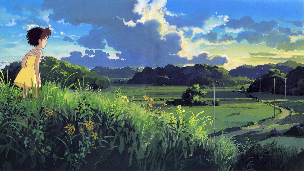 studioghibli,myneighbortotoro,龙猫,animegirls