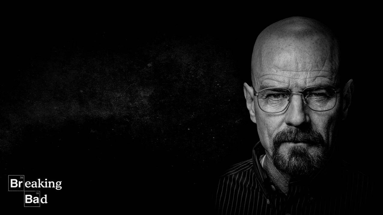 WalterWhite,BryanCranston,破坏,单色