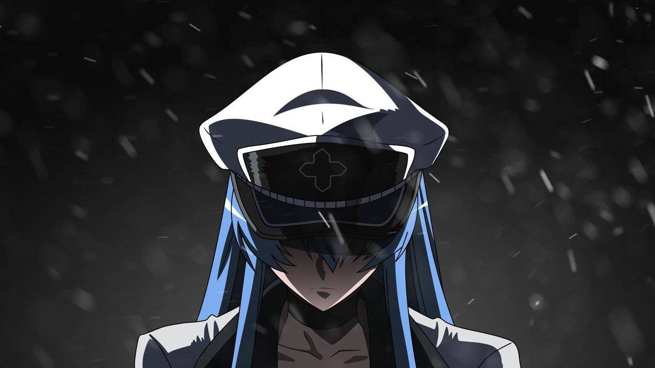 whiteskin,动漫,animegirls,Esdeath,darkbackground,AkamegaKill,Akamegakill,艺术品