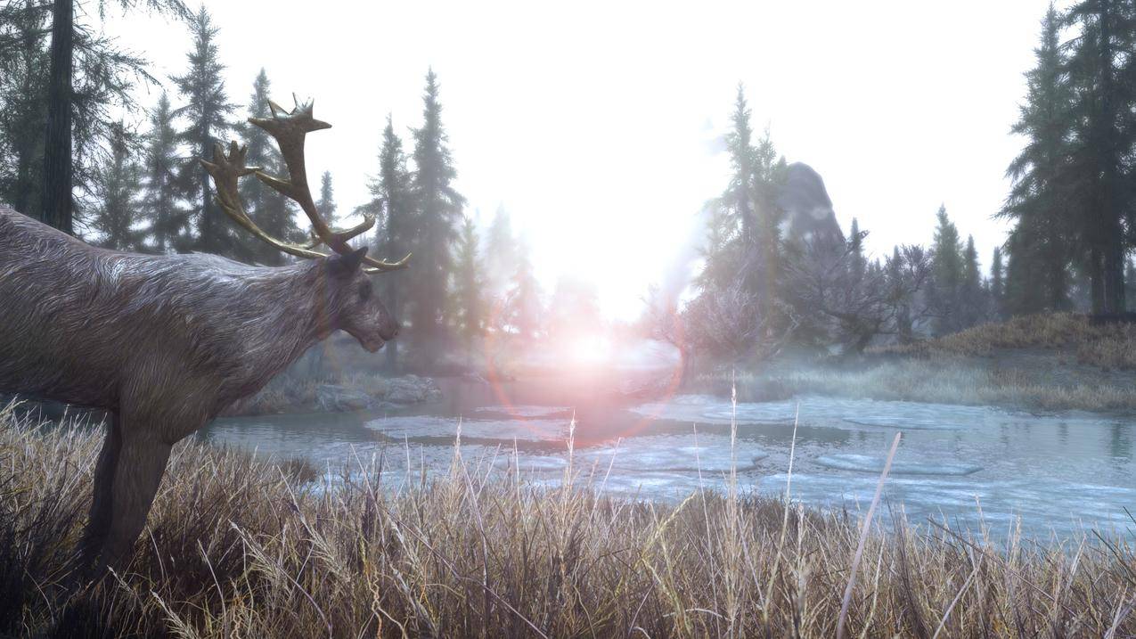 TheElderScrollsV,Skyrim,nature,landscape,water