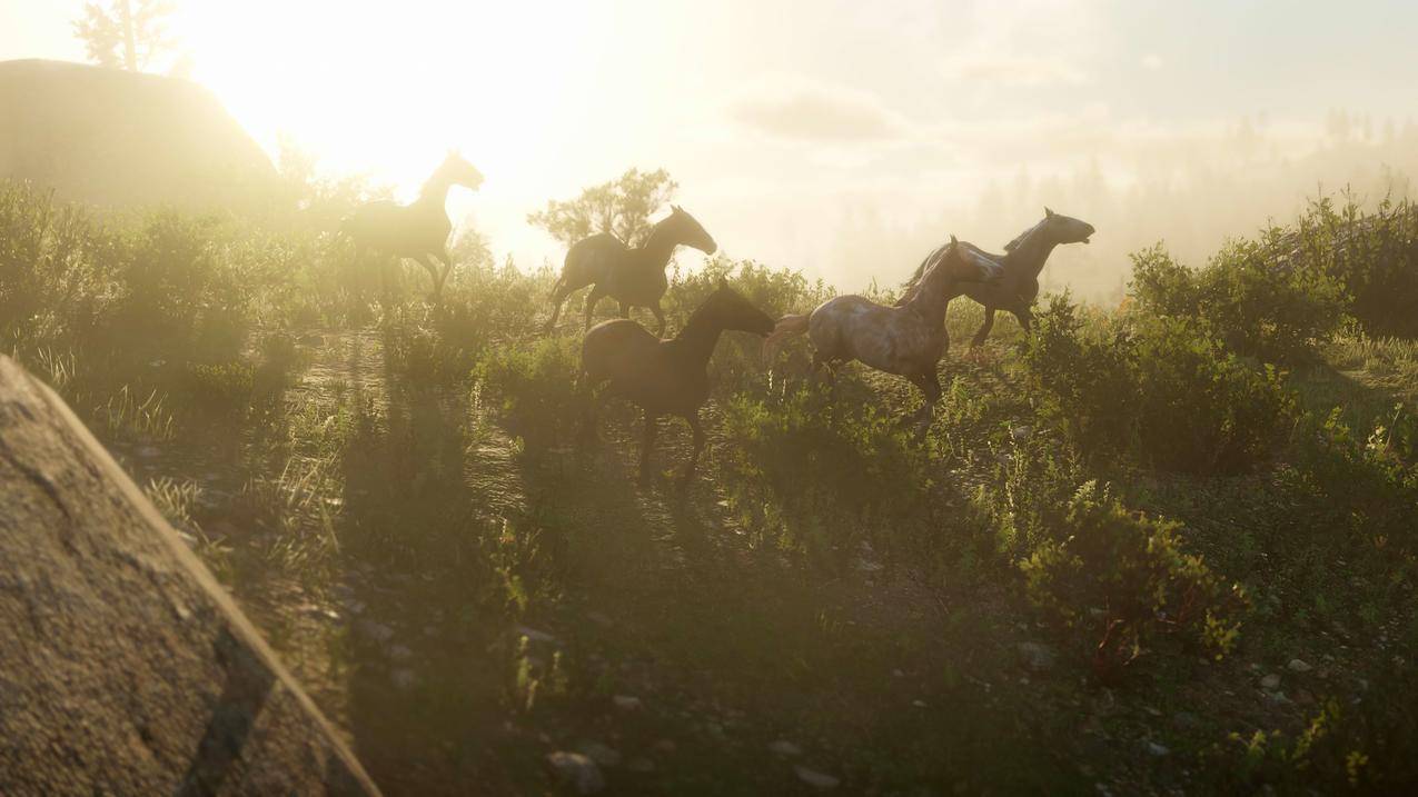 RedDeadRedemption,RockstarGames,RedDeadRedemption2,电子游戏