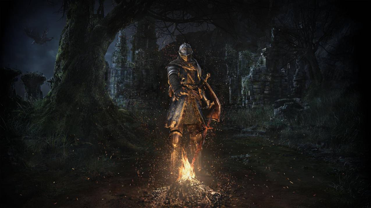骑士,DarkSouls,视频游戏,黑暗灵魂：被复制,火,树,夜,城堡,来自软件,不死生物