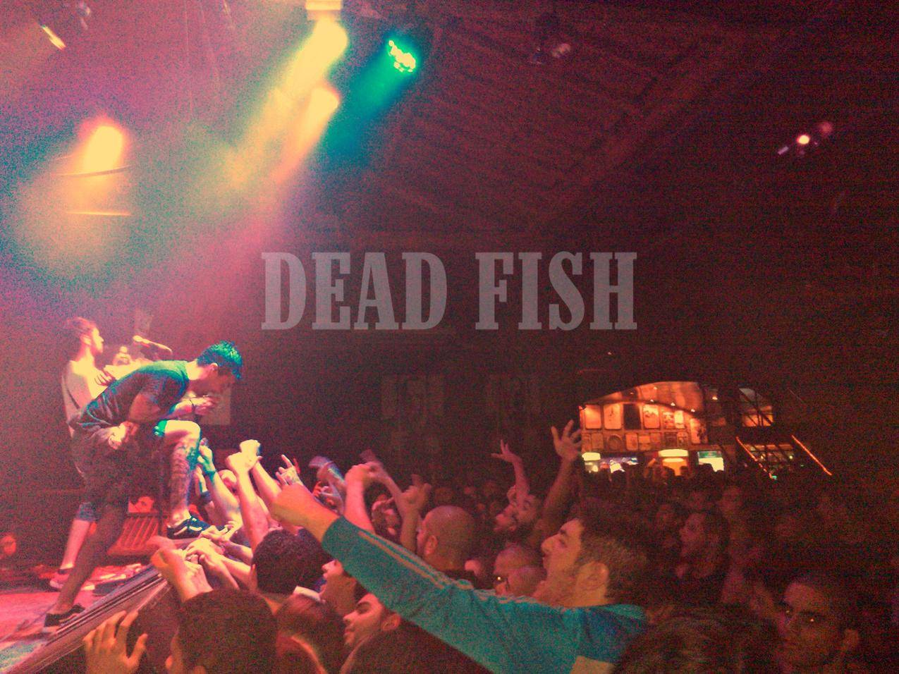 DeadFish,铁杆,Brasil,巴西