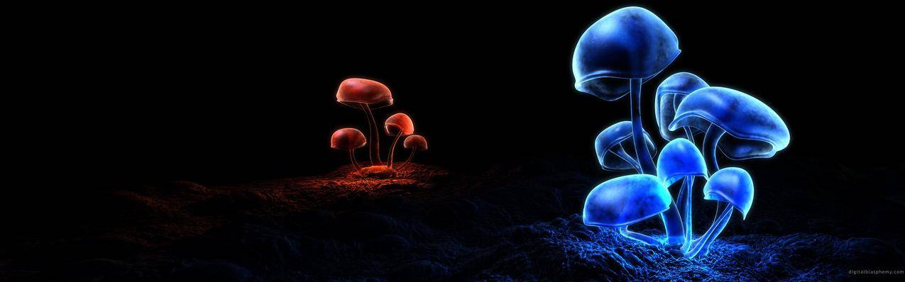 多重显示,蘑菇,自然,数字艺术,简单背景,红色,蓝色
