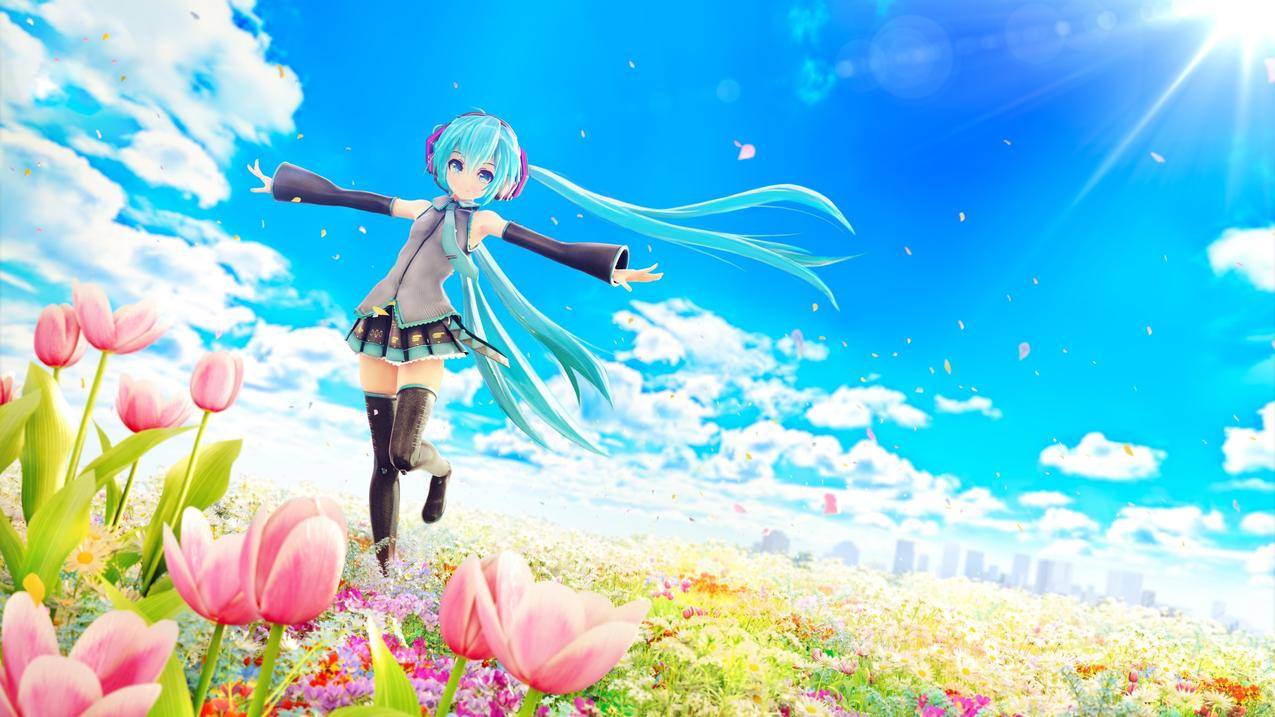 动画,动画,HatsuneMiku