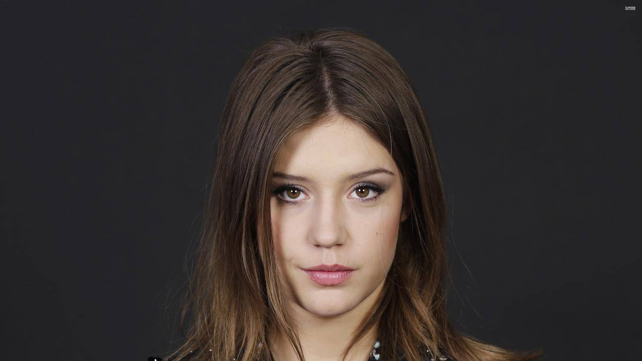 女人,AdeleExarchopoulos,名人,黑发女郎,女演员,旁观者,脸色,棕色