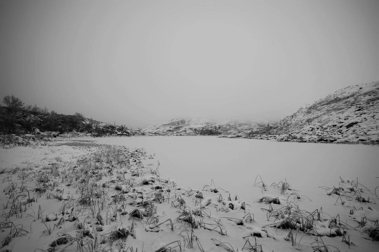 冬天,雪,风景,挪威,山,雾,单色