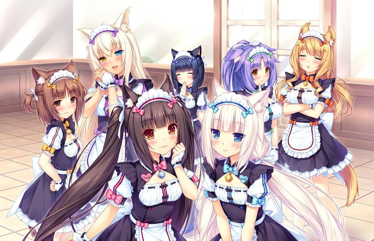 猫咪,动漫,动漫,Azuki,巧克力,Nekopa,肉桂,Nekopa,椰子,Nekopa,枫树,Nekopa,Vanilla,Nekopa,GameCG,双尾