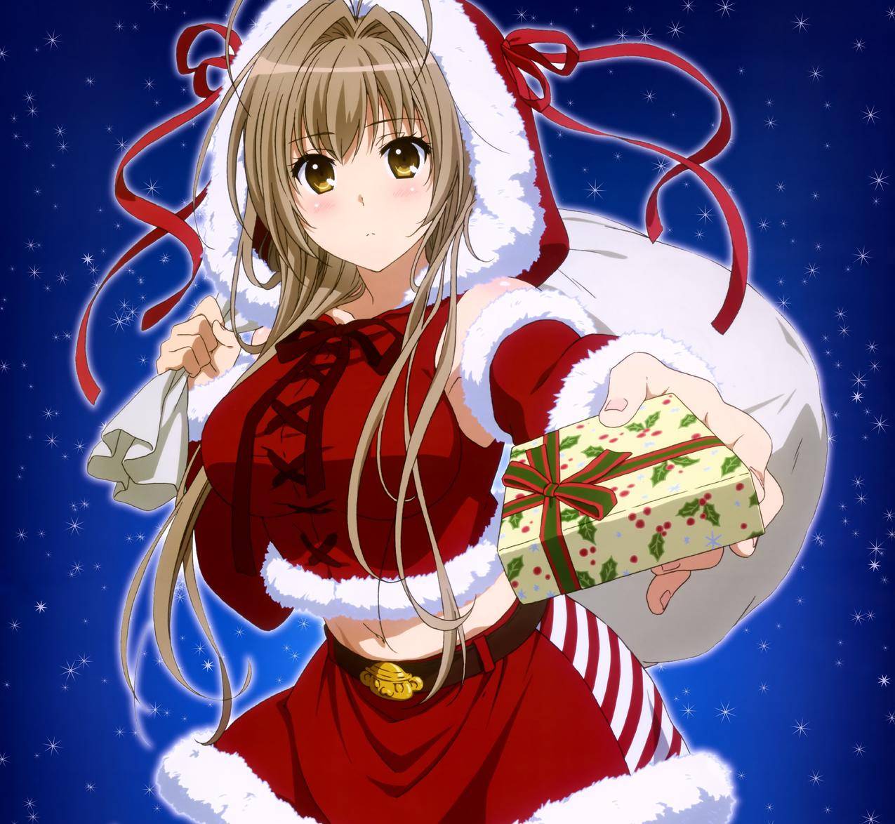 Santacostume,动漫,动画,阿米吉利公园