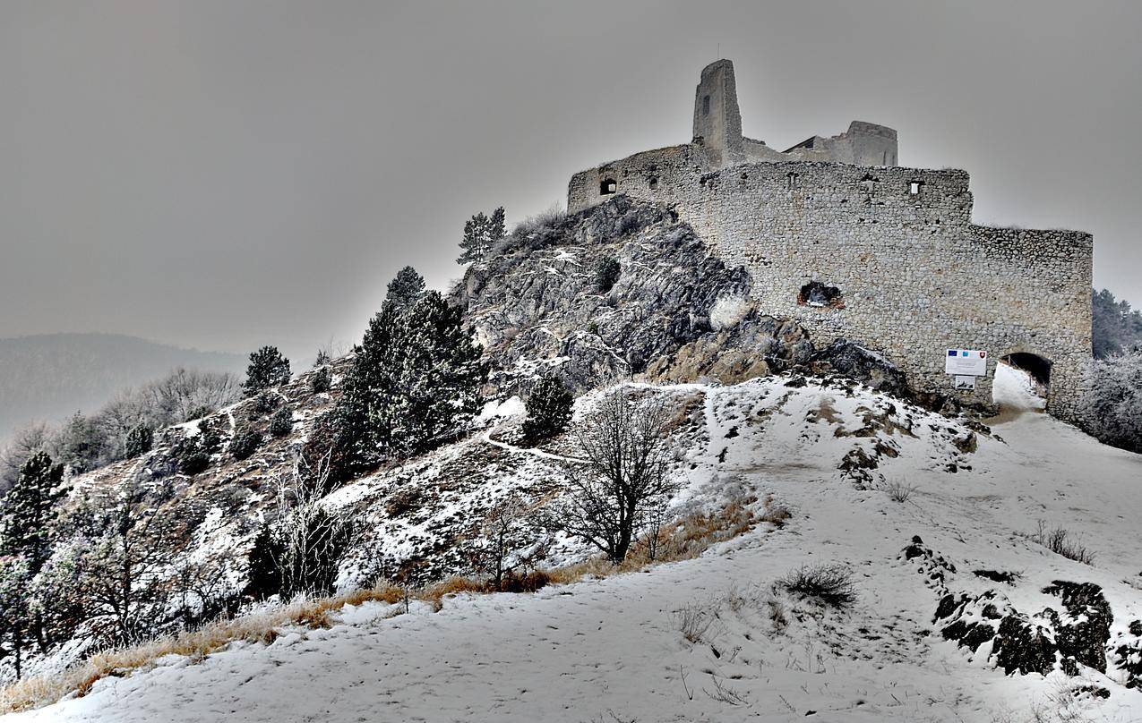 Bathory,建筑,城堡,自然,斯洛伐克,废墟,山丘,岩石,树木,冬天,雪,古代