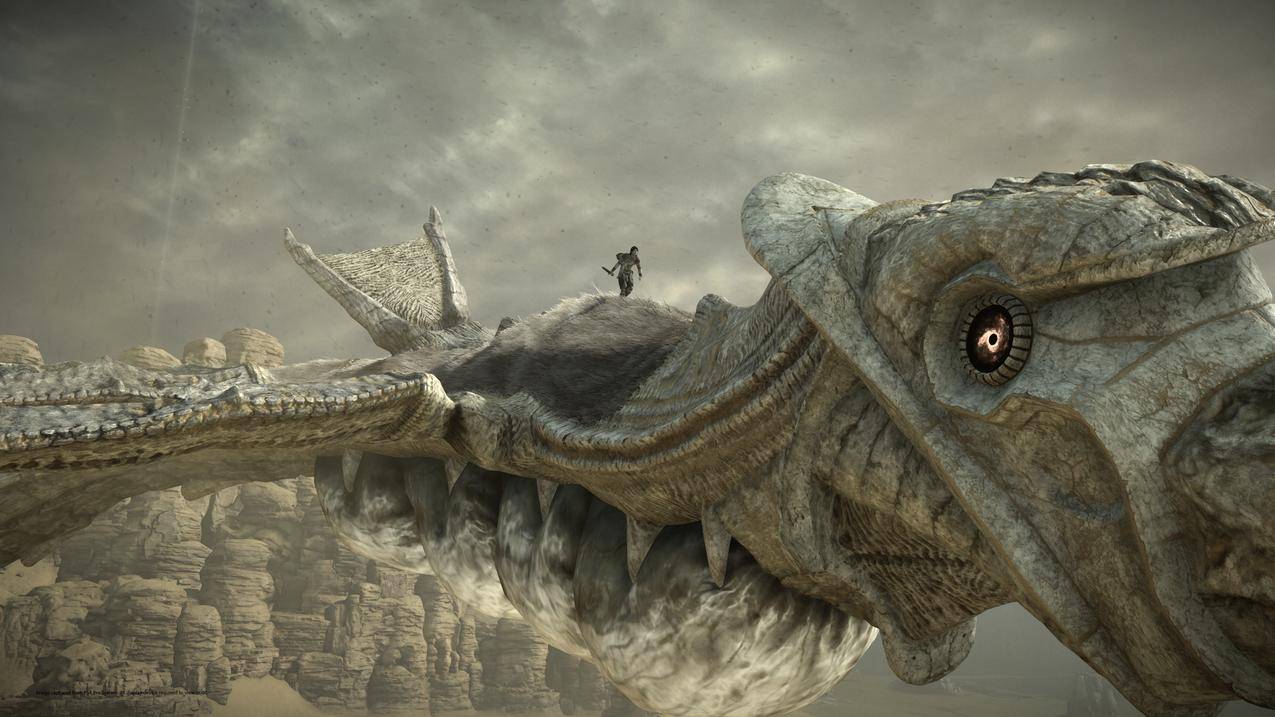videogames,shadowofthecolossus