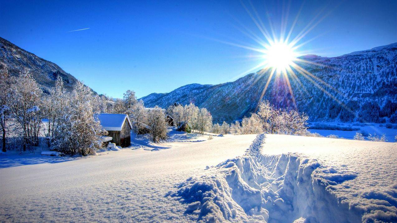 山,森林,雪,岩石