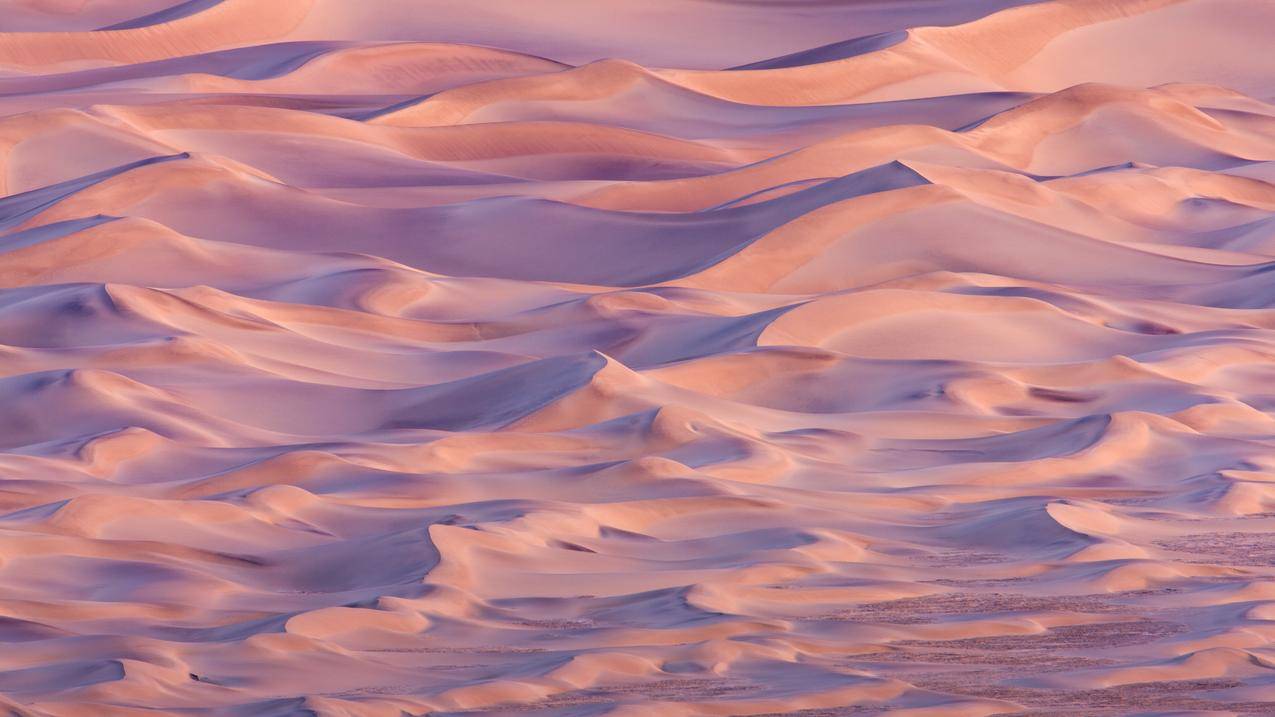 沙漠,sanddunes,自然,景观