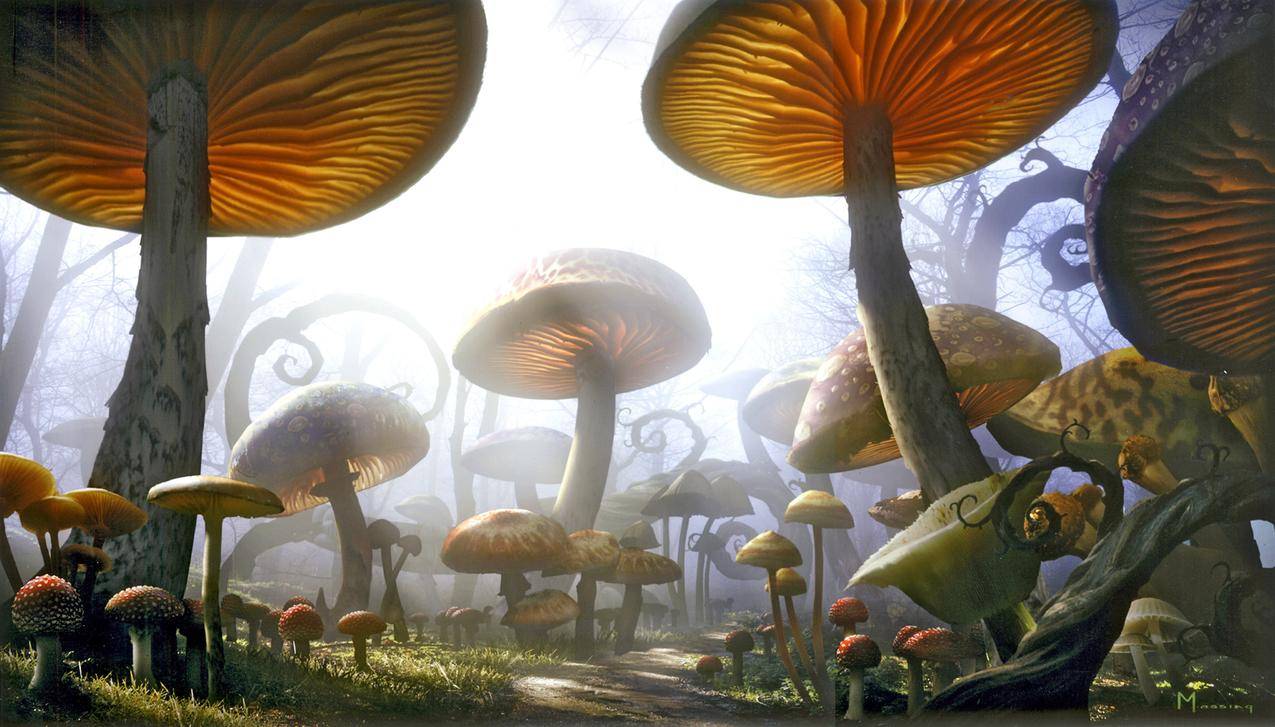 蘑菇,幻想艺术