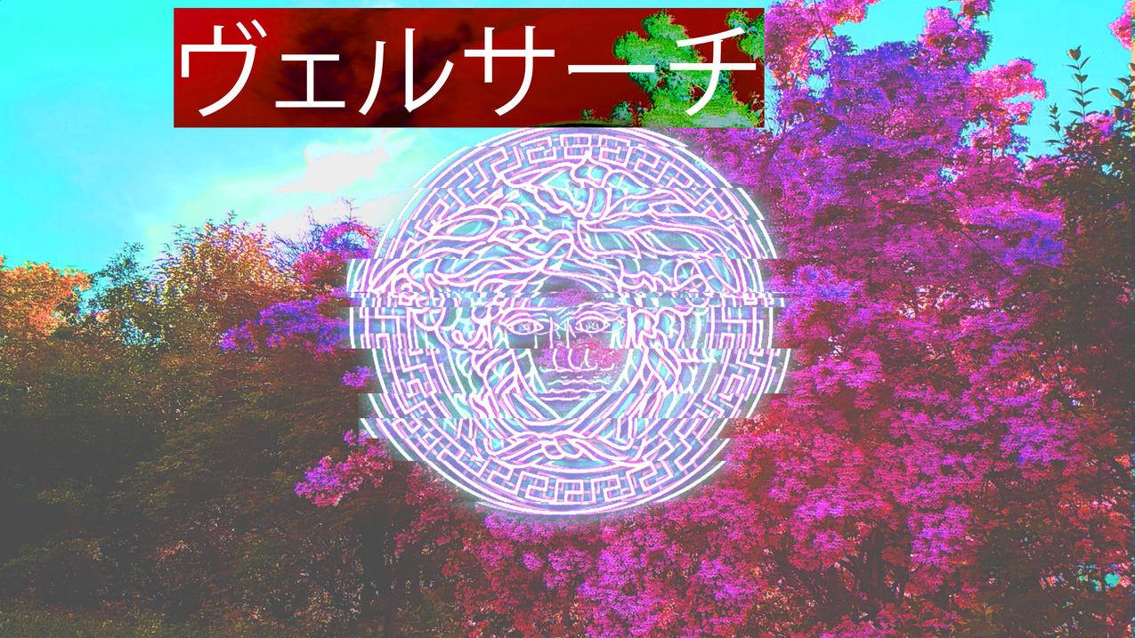 范思哲,vaporwave,日本,模因