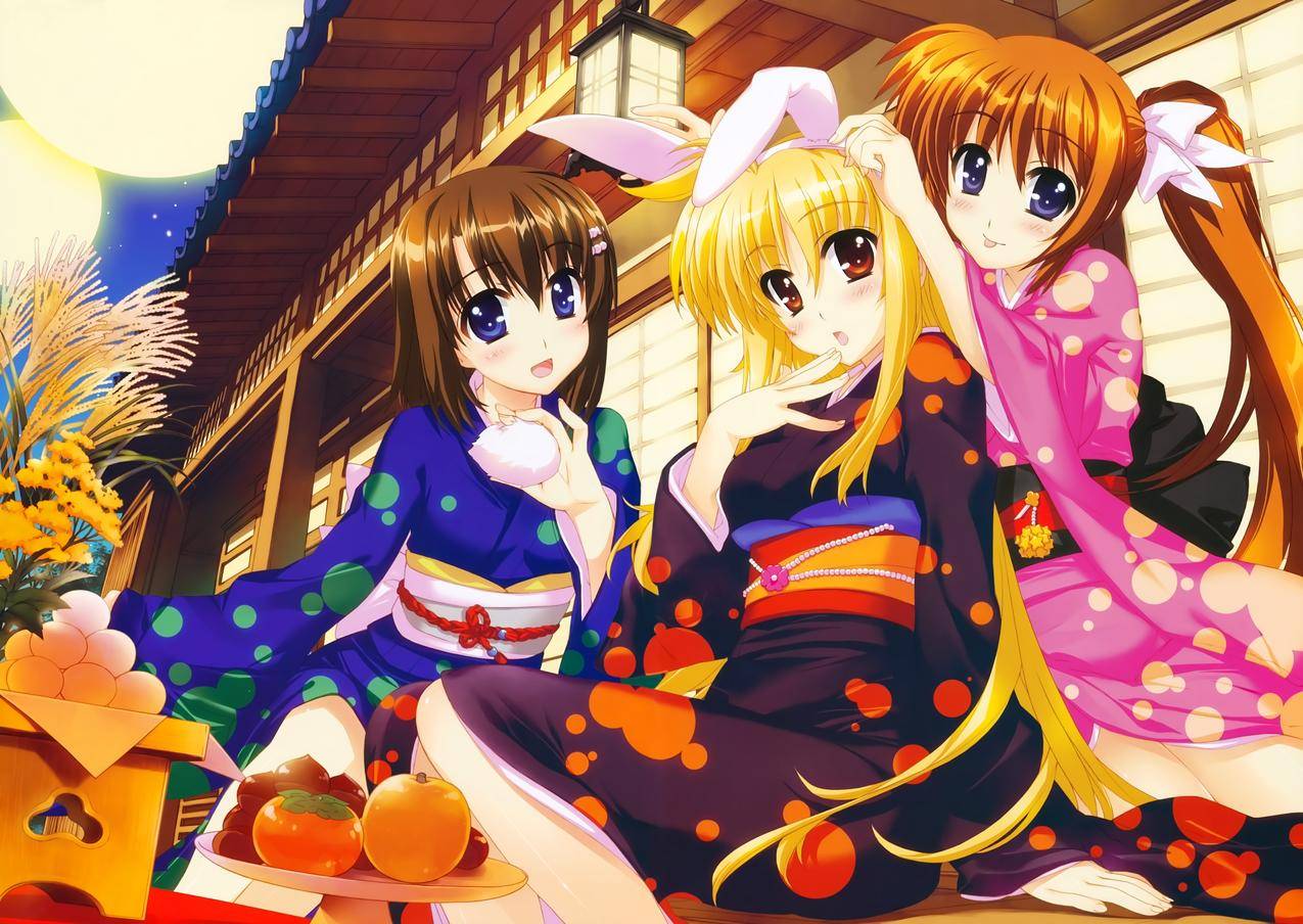 MahouShoujoLyricalNanoha,TakamachiNanoha,亚加米亚伊特,FateTestarossa,动物,和服,动物,日本