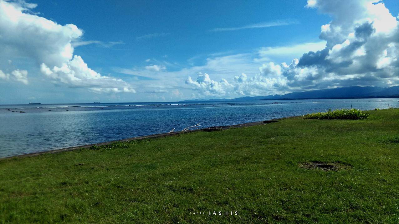 巴拿马,风景,自然光,拉丁语,植物