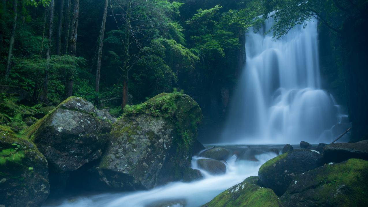 瀑布,水,林,石,性质,longexposure