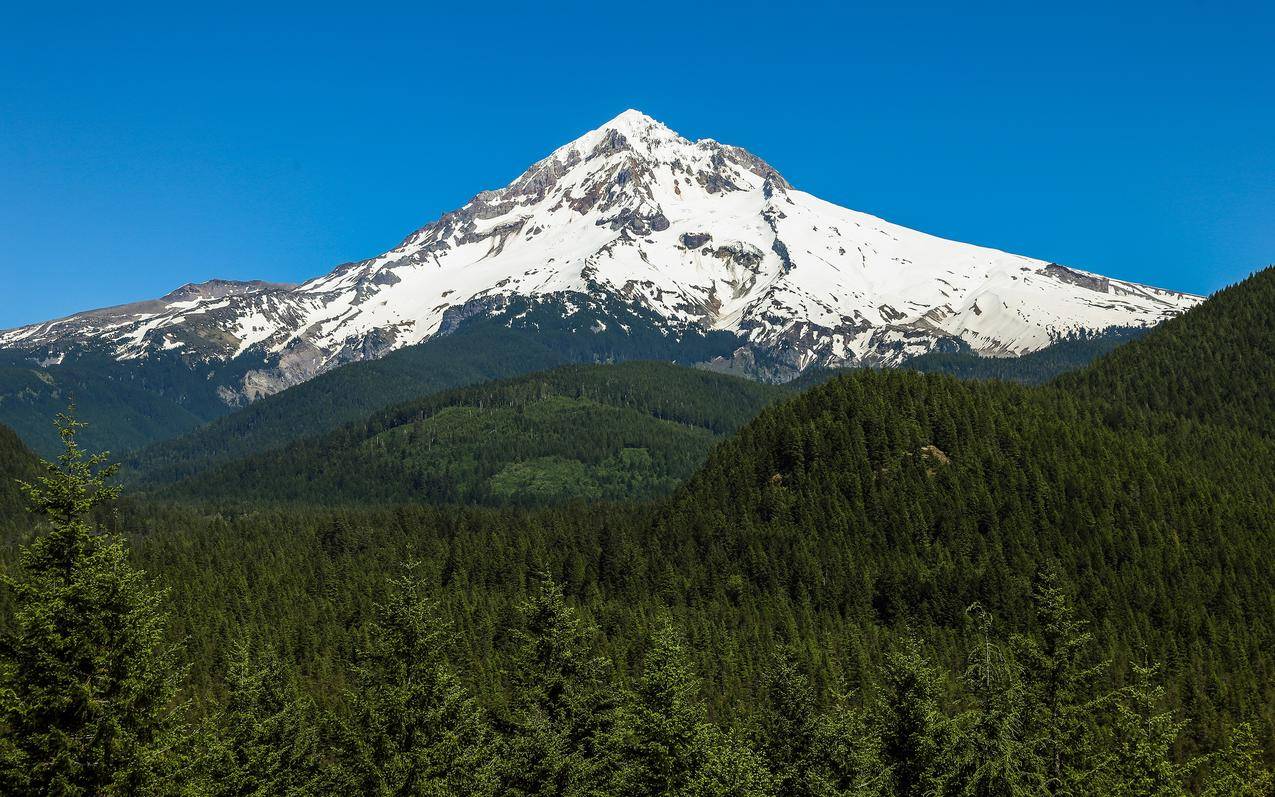 摄影,自然,风景,雪峰,蓝色,天空,森林,松树,MountHood,俄勒冈,山脉