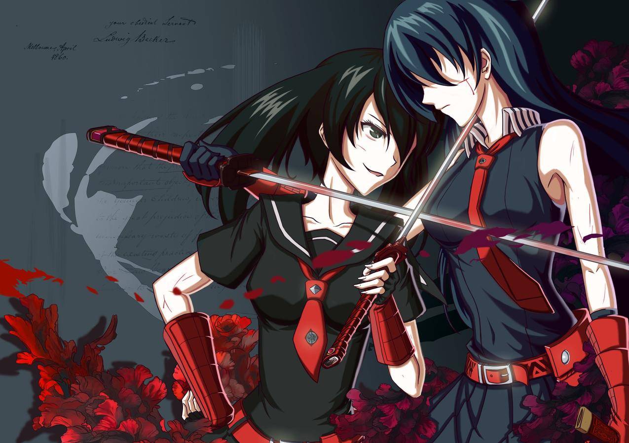 akamegakill,akame,kurome,剑,animegirls