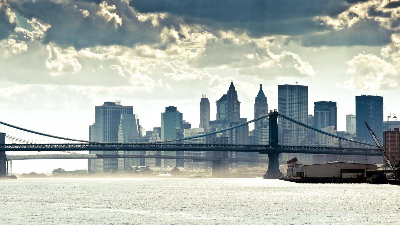 该市街,道路,newyorkcity