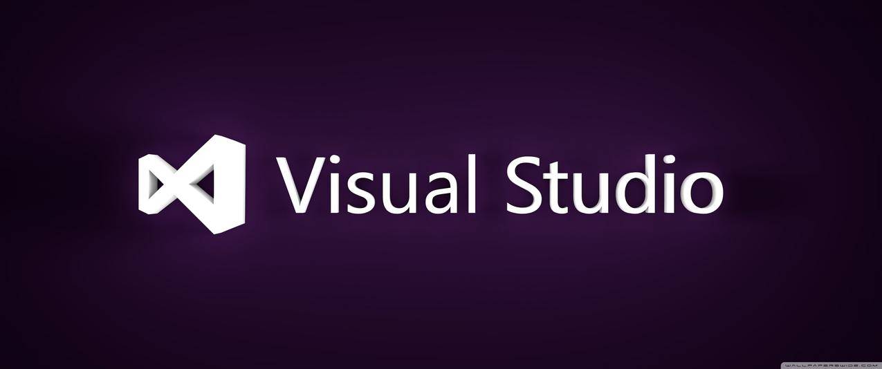 MicrosoftVisualStudio,代码,web开发,标志,水印