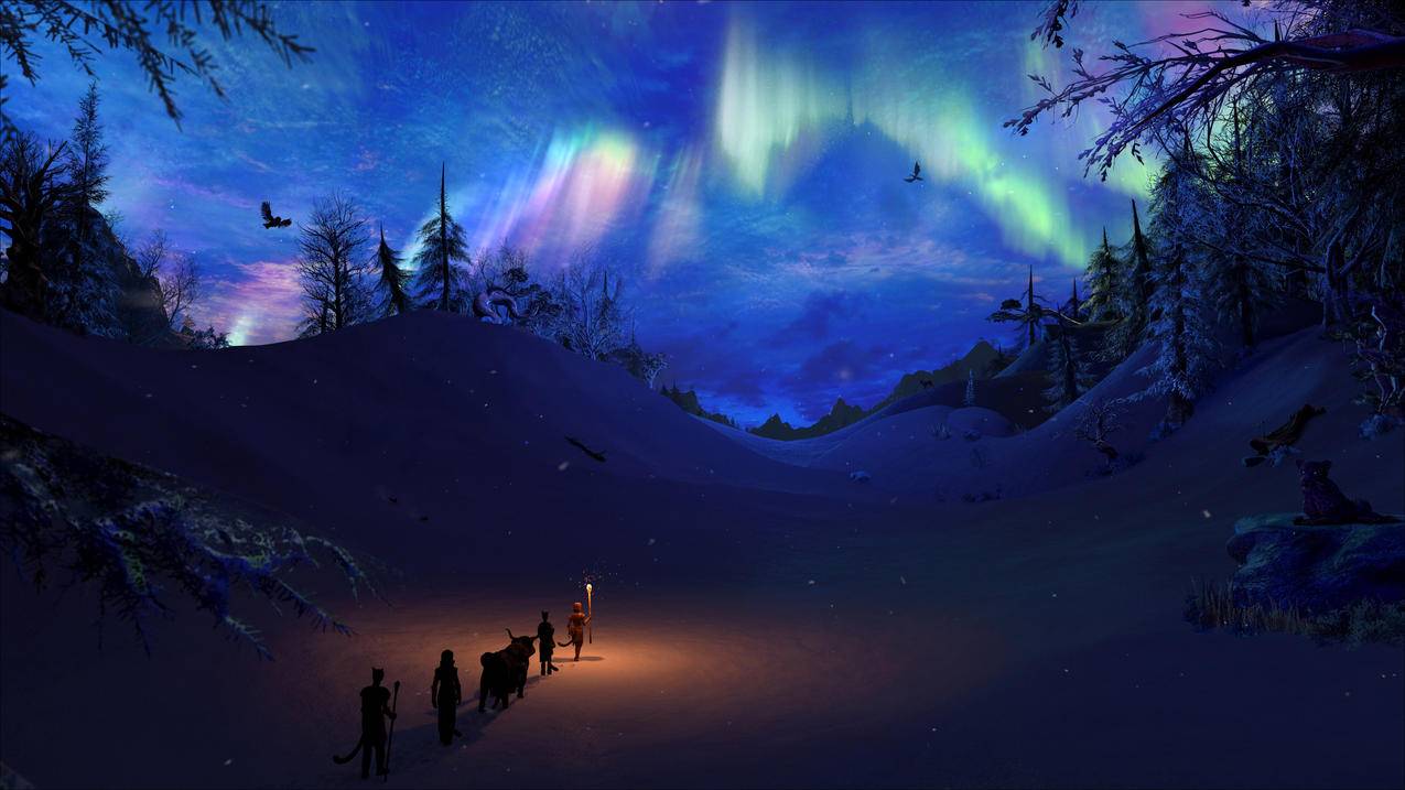 极光,艺术品,冬天,雪,fantasyart,夜间,风景,TheElderScrollsV：天际