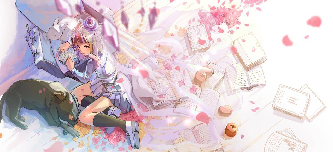 WhiteRabbit,动物,动画,猫,动物,裙子,校服,书,狗,鸟,膝盖高