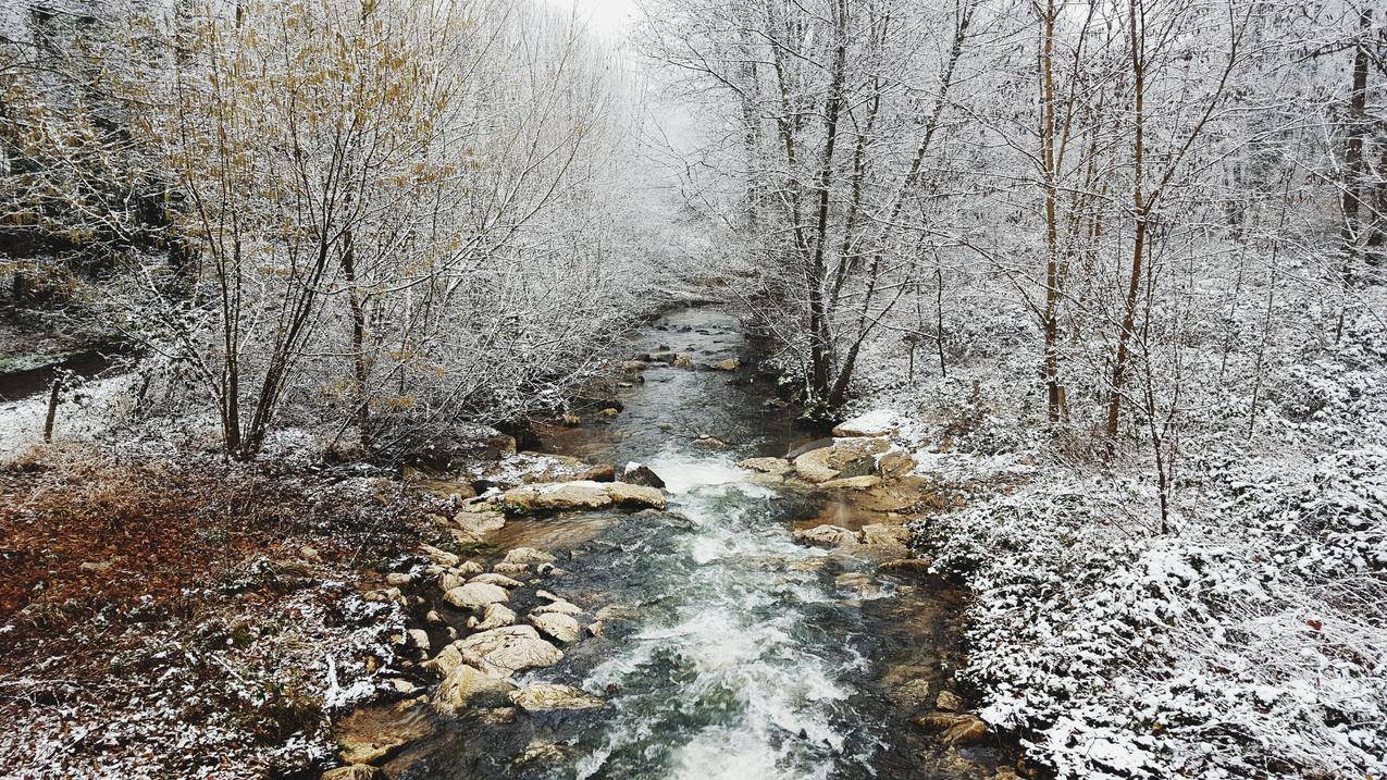自然,雪,冬天,风景,森林,河流,树木,摄影