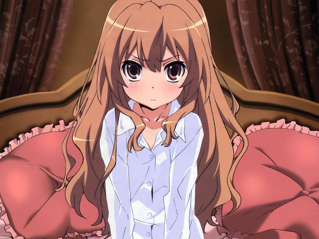Toradora,阿萨卡泰加,动漫,动画