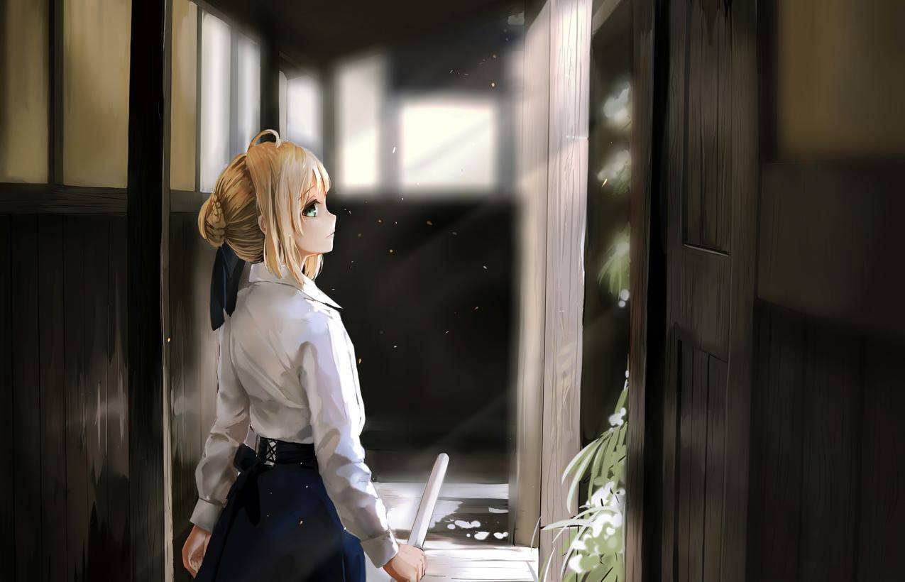 动漫,动漫,胖子,Saber