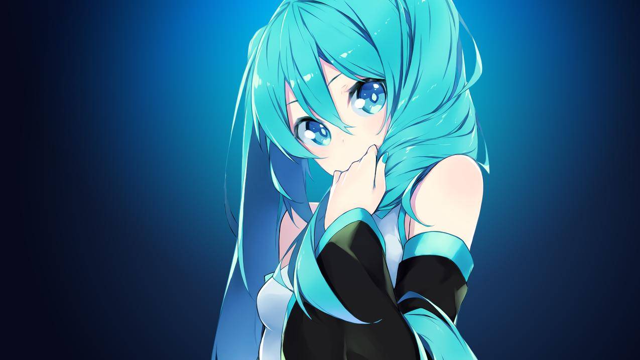 动画,动画,声母,HatsuneMiku